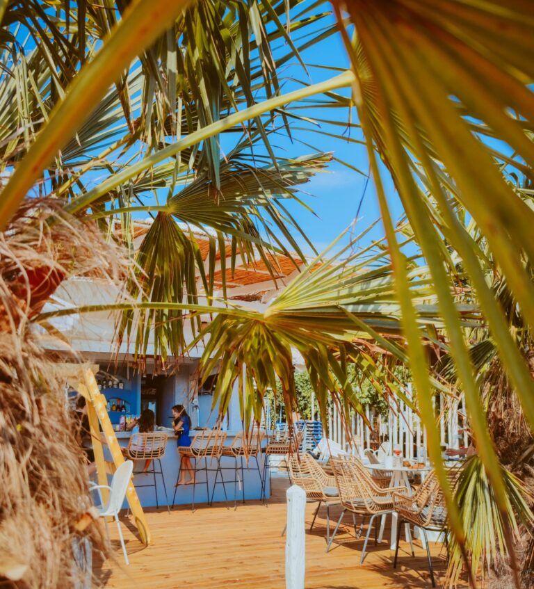 468316662 568314919277529 2068524277468628728 n 768x847