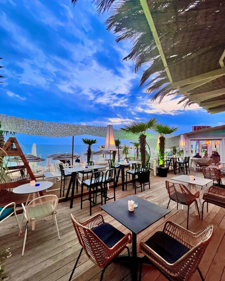 475245105 612161268229367 1045285687783949220 n 768x960