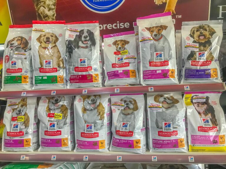 475310891 1116227670290738 5824107229370143125 n 768x576