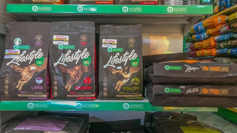 475647768 1116234106956761 5624341925906677507 n 768x432