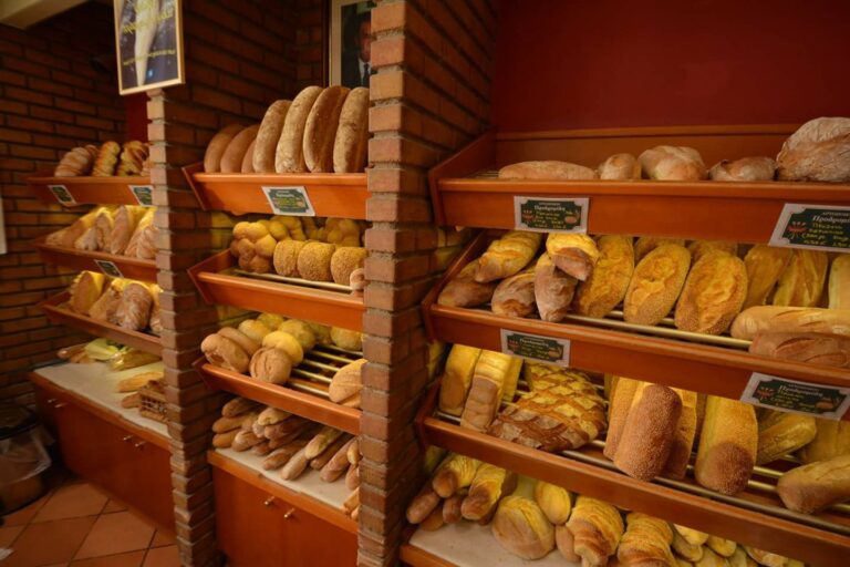 476806859 1278074363909385 2336403263405353597 n 768x512