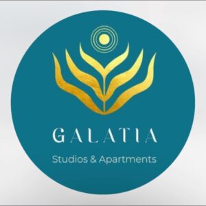 480025147 1299236997907975 2559798643113393865 n 300x300