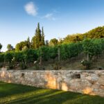 480046502 1110238767779965 7893387422375475990 n 150x150