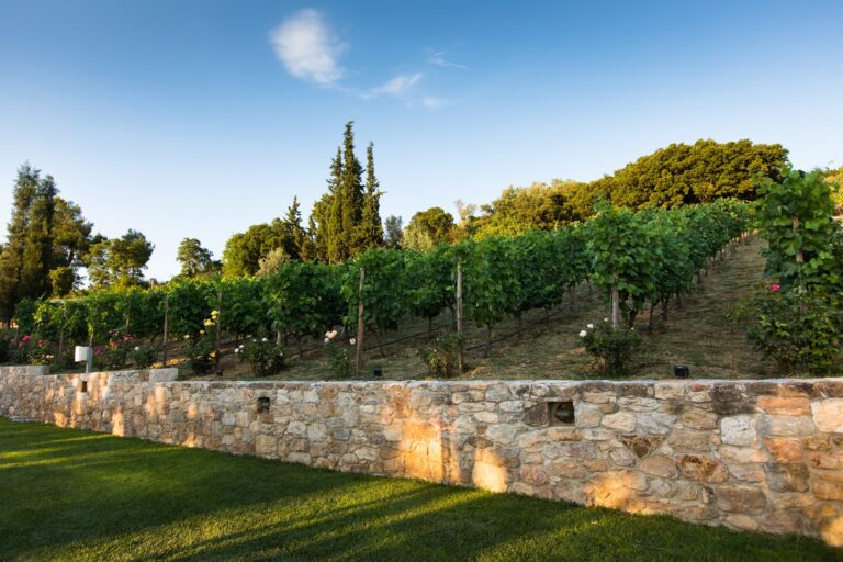 480046502 1110238767779965 7893387422375475990 n 768x512