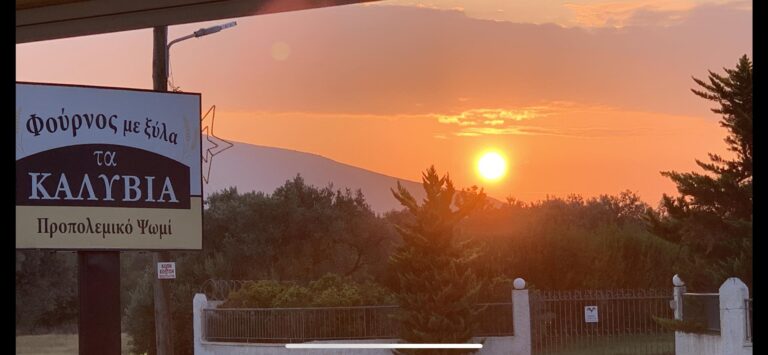 483704104 3888929741421795 9130395131441404739 n 768x355