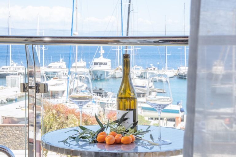 484939151 1321293292369012 5929448348666997597 n 768x513