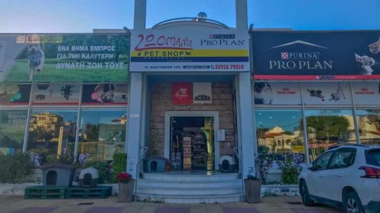 486466943 29752184661035405 4002577589100032985 n 768x432