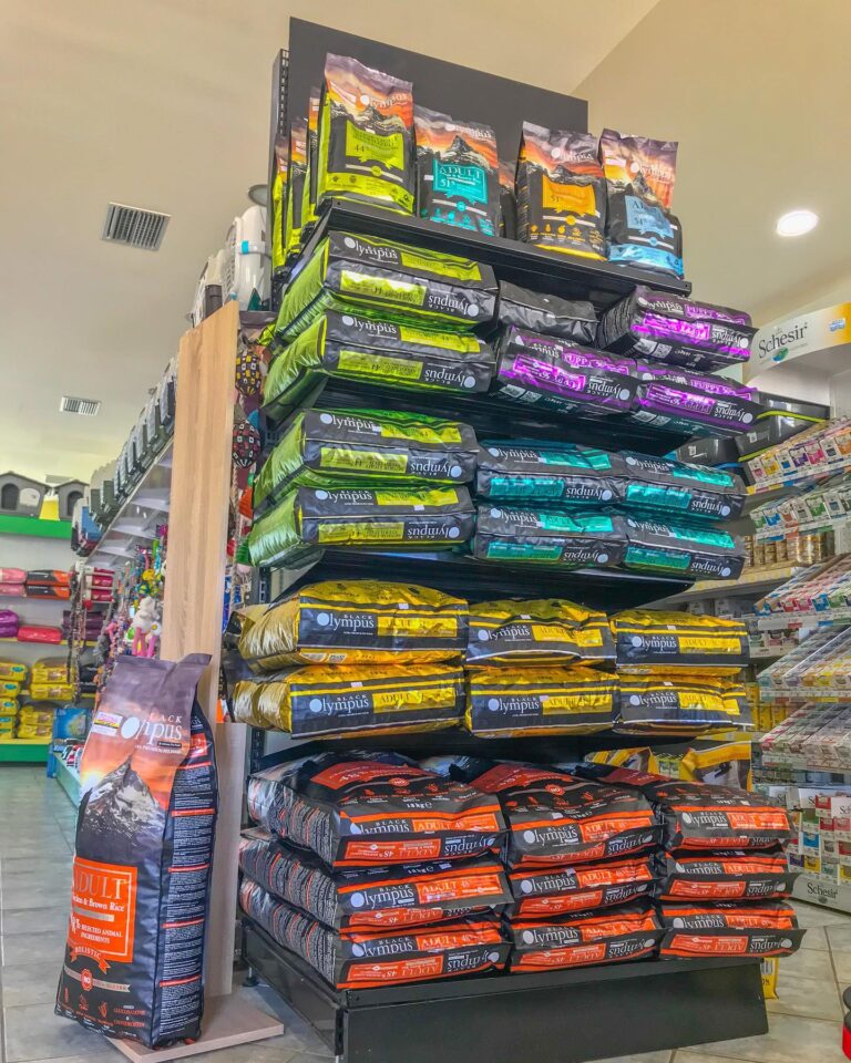 486494557 29752179674369237 7609796868637912890 n 768x960