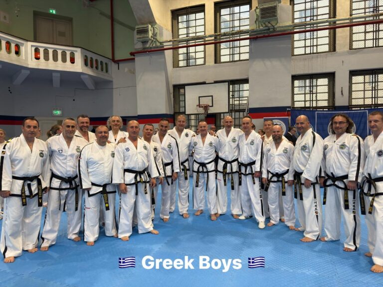 488219717 1177991980439841 5193528523611454760 n 768x576