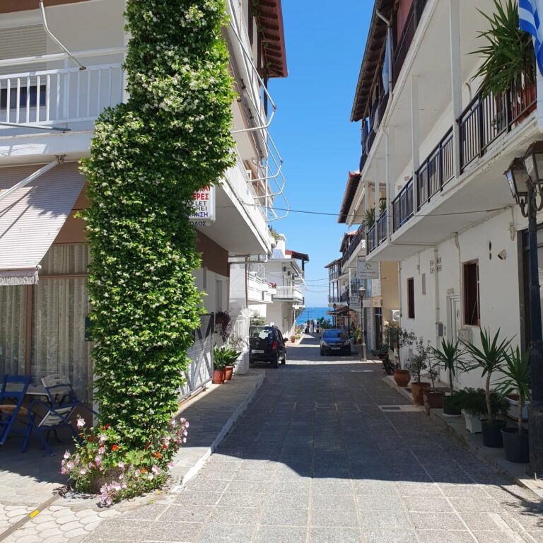 489119200 1168828731920617 6616272945628785668 n 768x768