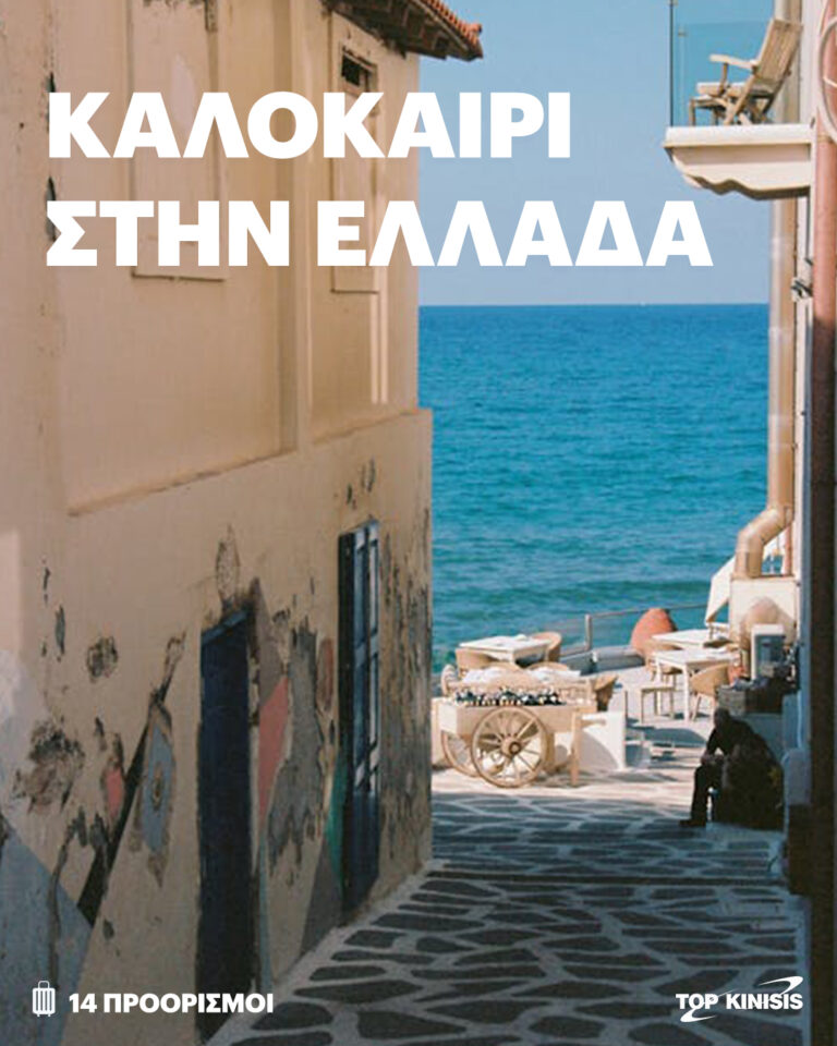 491934694 1092182072947819 3354339935937906878 n 768x960