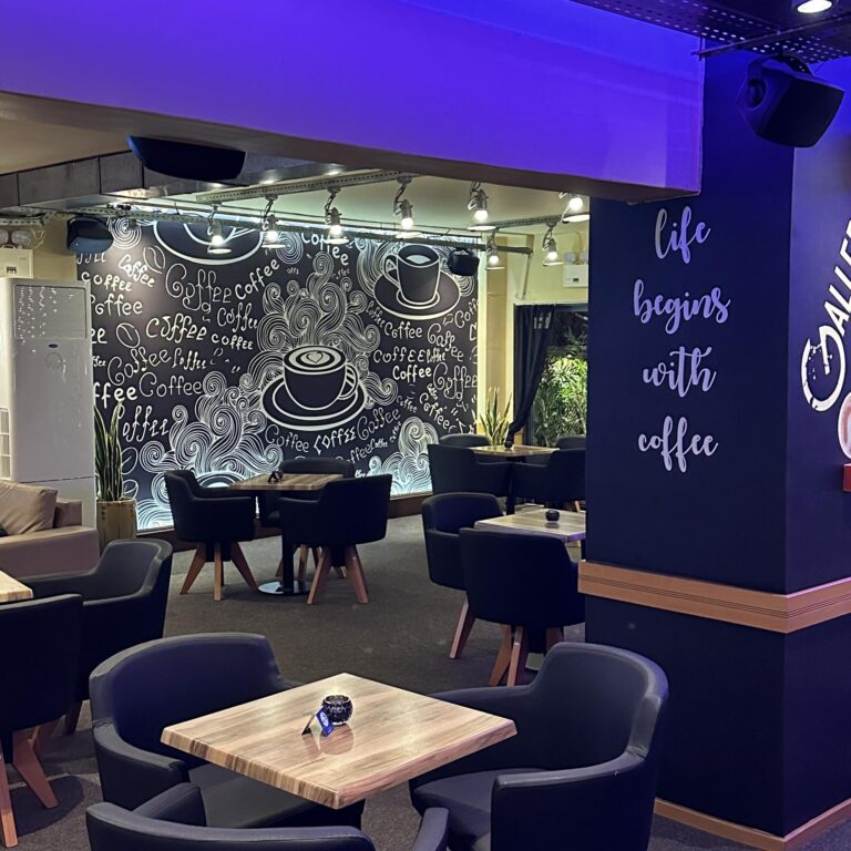 492587791 1263204749143116 1314013159408645020 n 768x768