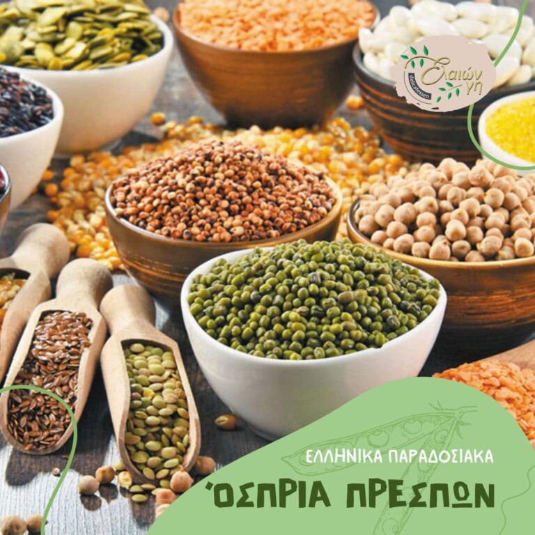 495064284 1256677833130368 1861302993712250829 n 768x768