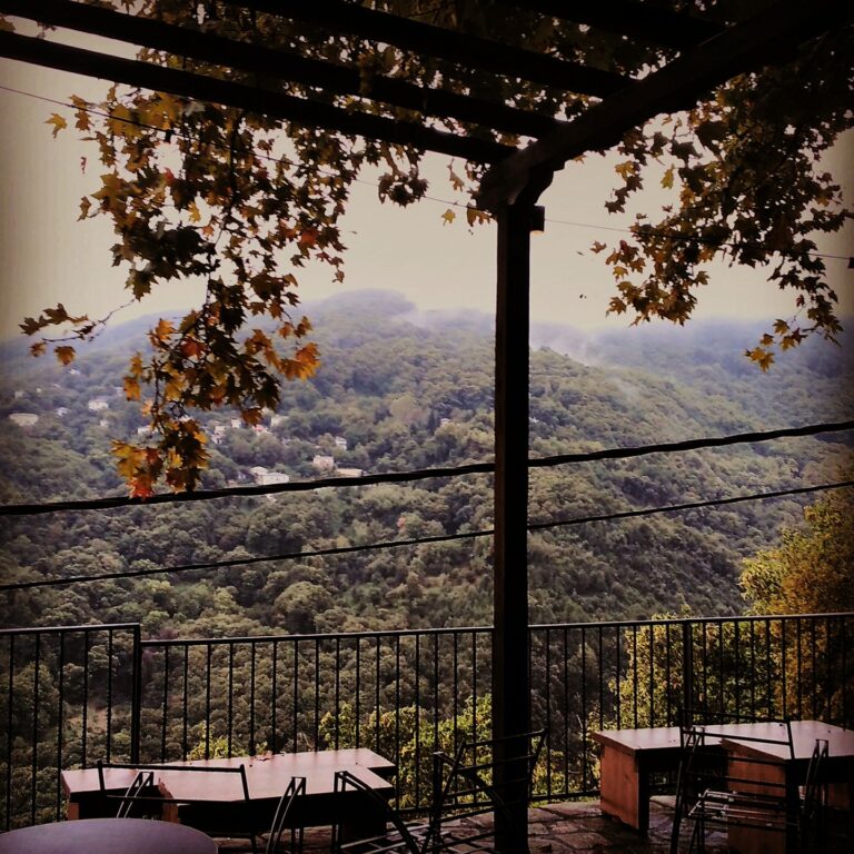 513670361 10036017893102634 6223747923916010817 n 768x768