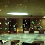 514711837 24330626059856407 8374034249582436987 n 150x150