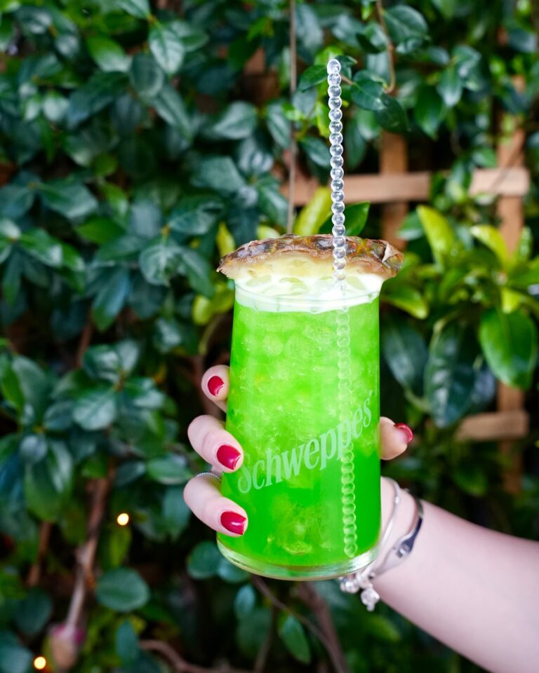 520132812 18196563241311188 6832596527074549430 n 768x960