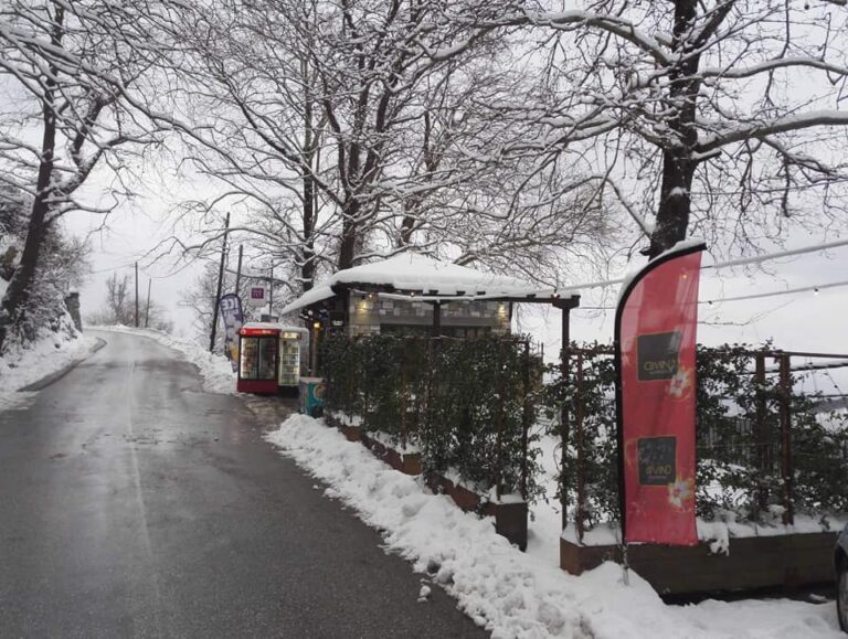 52995495 2057204004317436 1771181484225331200 n 768x579