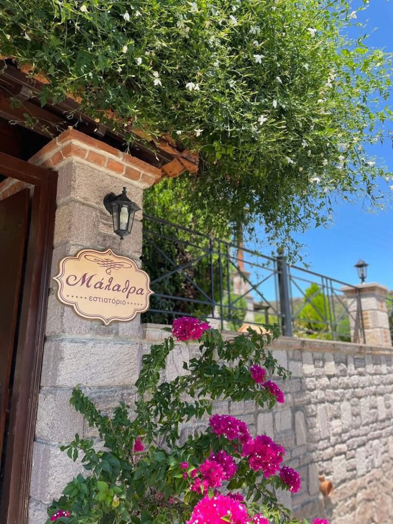 530348998 1351121603688045 4644018524918474040 n 768x1024