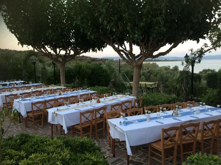 593683AE F590 42CD A91A D0B808AD5A07 768x576