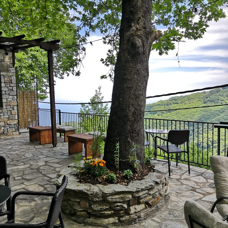 61745765 2198048440232991 5242398332302655488 n 768x768