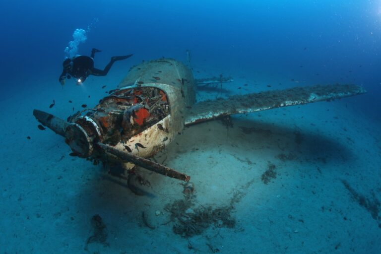 IMG 7188 1280x853 768x512