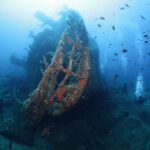 IMG 7770 1280x853 150x150