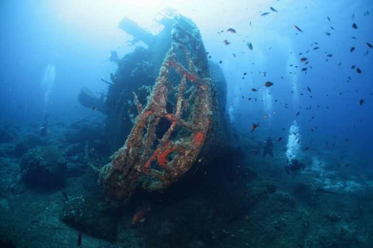 IMG 7770 1280x853 768x512