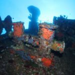 IMG 8726 1280x853 150x150