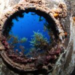 IMG 8908 1280x853 150x150