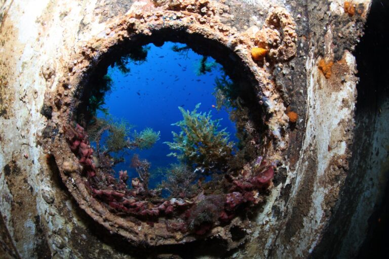 IMG 8908 1280x853 768x512