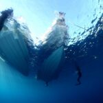 IMG 9098 1280x853 150x150