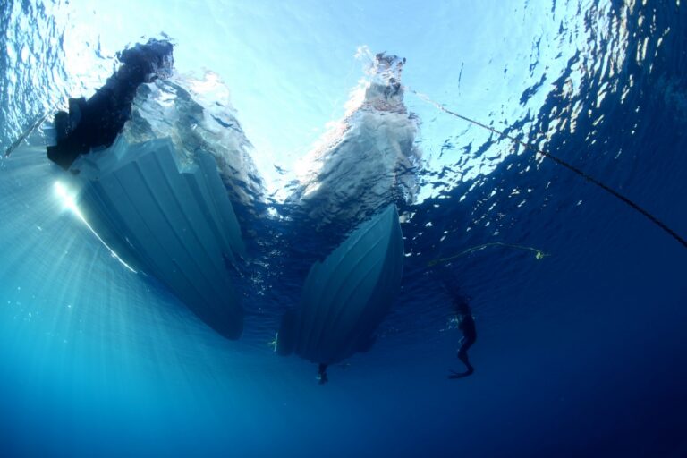 IMG 9098 1280x853 768x512