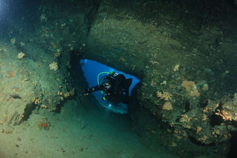 IMG 9192 1280x853 768x512