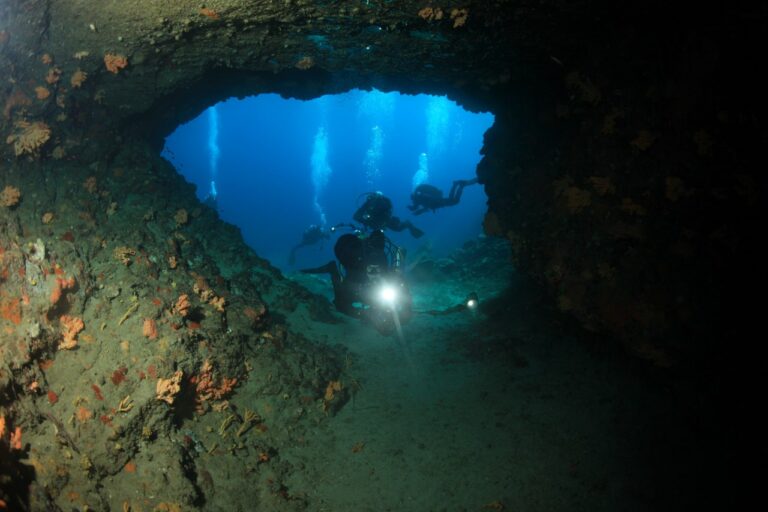 IMG 9196 1280x853 768x512