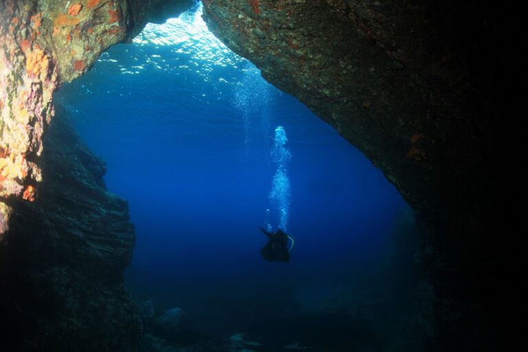 IMG 9235 1280x853 768x512