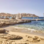 SB hippie fish 03 150x150