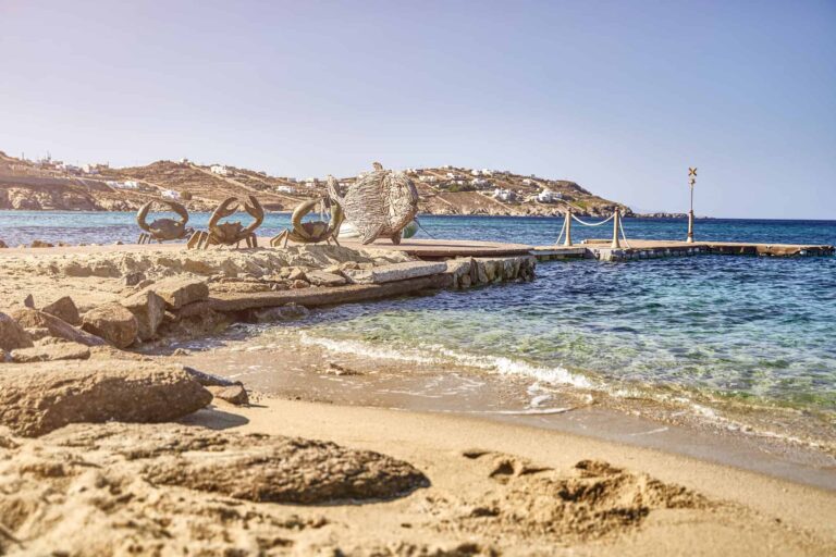 SB hippie fish 03 768x512