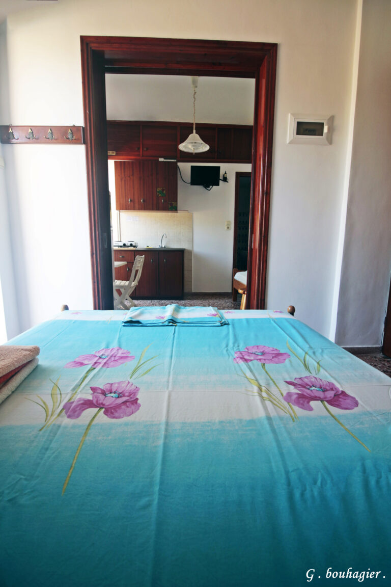 rsz MG 2504 768x1152