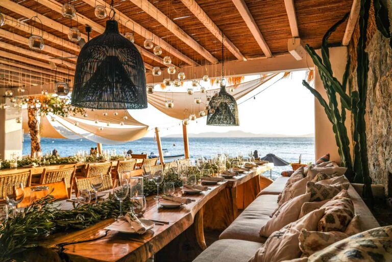 shelleyben 219 768x513