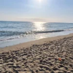 unnamed 1 10 150x150