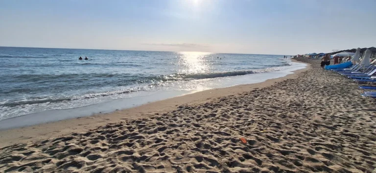 unnamed 1 10 768x354