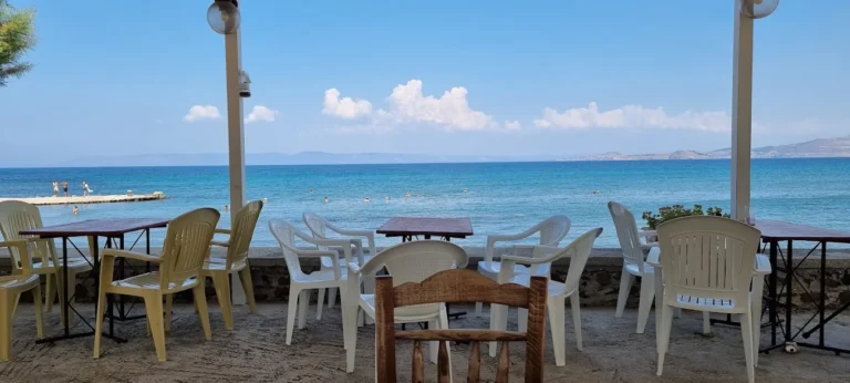 unnamed 1 25 768x346