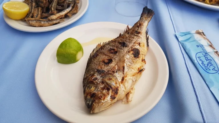 unnamed 11 1 768x432