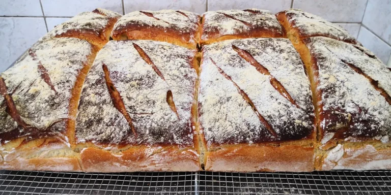 unnamed 2 10 768x384