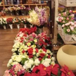 unnamed 3 12 150x150