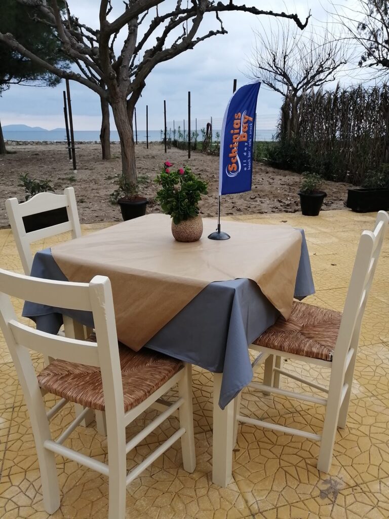 131984702 240592294320365 385873183180231663 n 768x1024