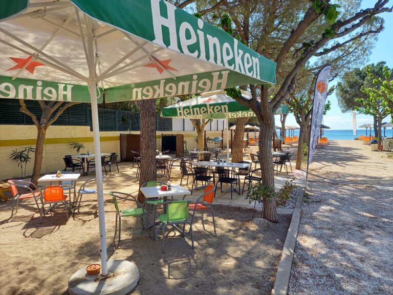 188671544 236700288254753 6991831645337979373 n 768x576