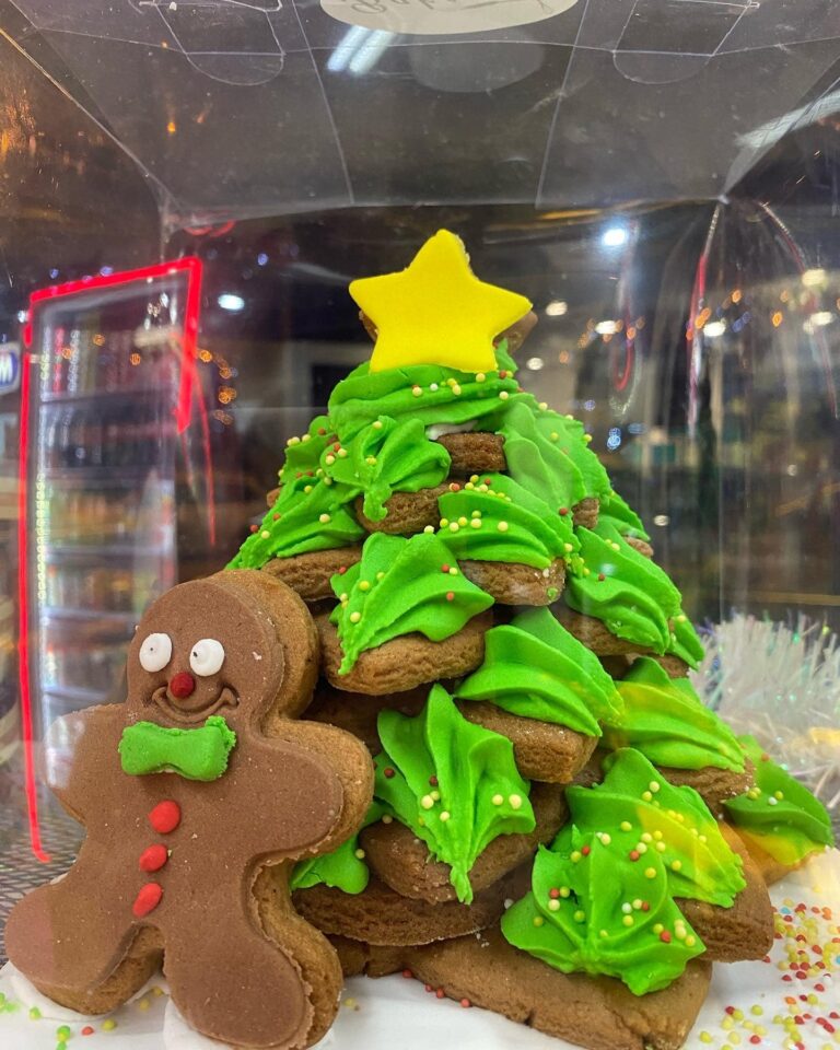 469459778 600590209084505 3532395244776842791 n 768x960