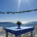 473236412 931580142438345 774676900144035648 n 150x150