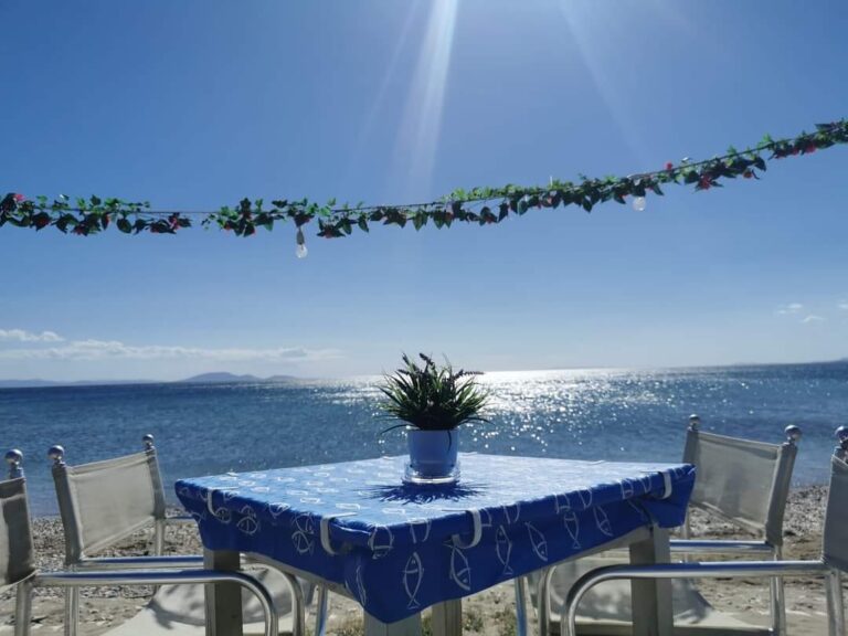 473236412 931580142438345 774676900144035648 n 768x576